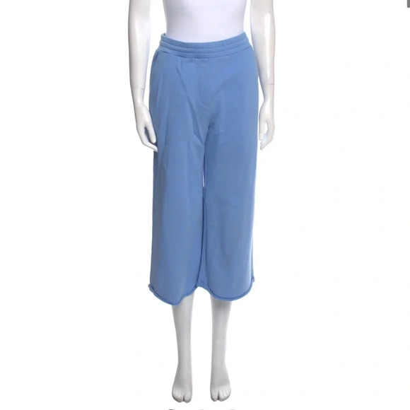 NWT T BY ALEXANDER WANG High-Rise Cropped Wide Leg Drawstring French Terry Pants - Picture 1 of 6
